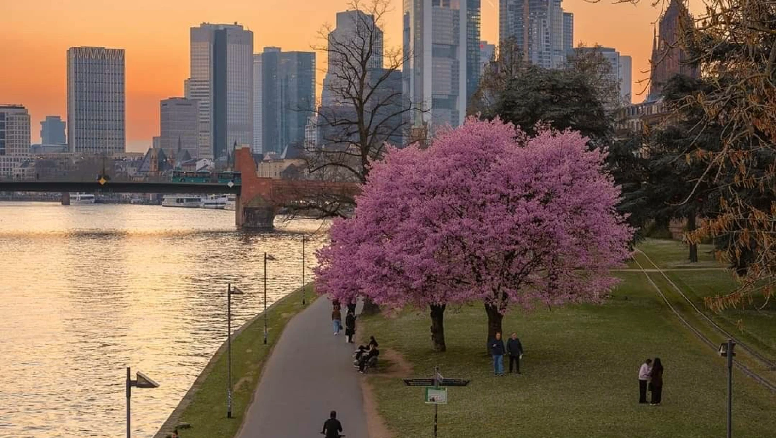 Germany — work and relocation destination